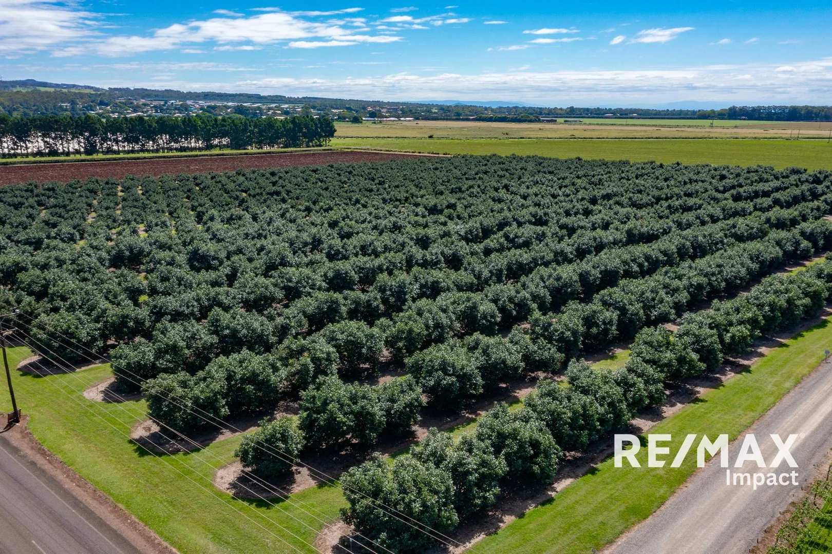 Additional image 23 of 119 Beantree Road, Atherton QLD 4883