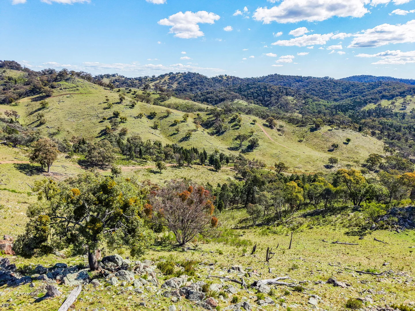 Additional image 10 of Gulgong NSW 2852