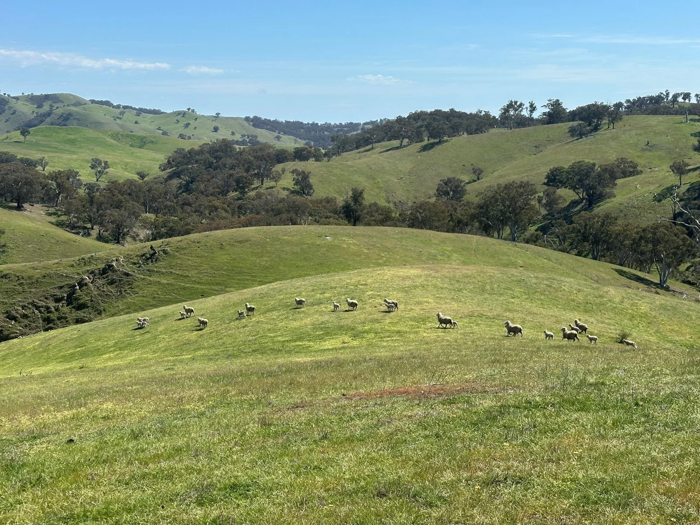 Additional image 9 of 1208 Sawyers Gully, Yass NSW 2582