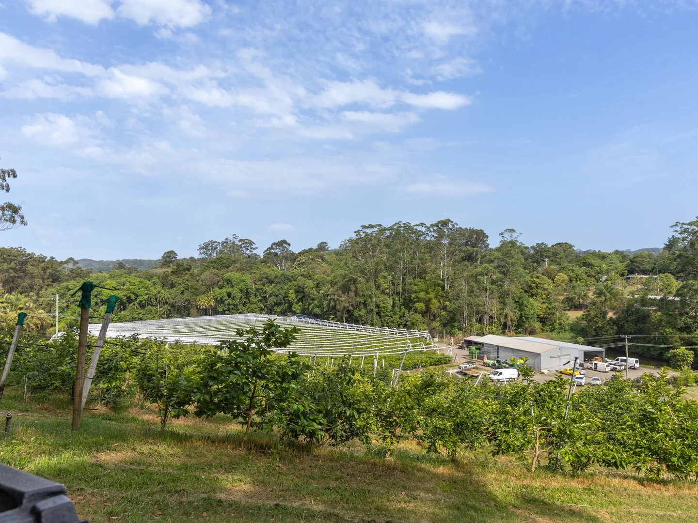 Additional image 12 of 43 Pringle Road, Rosemount QLD 4560