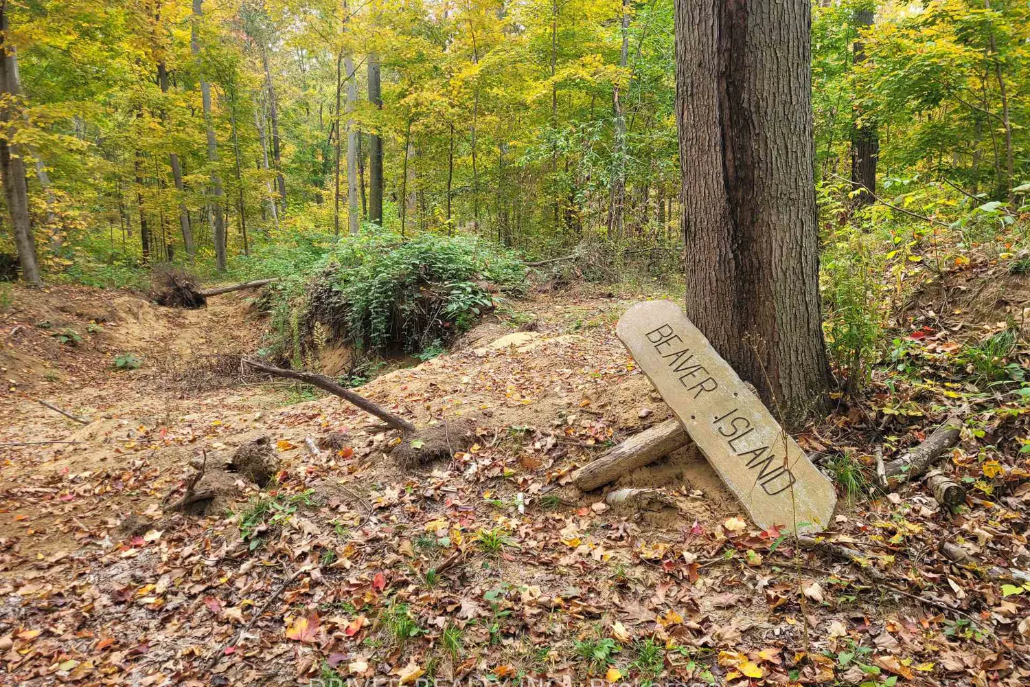 Additional image 17 of 1726 4Th Concession Road