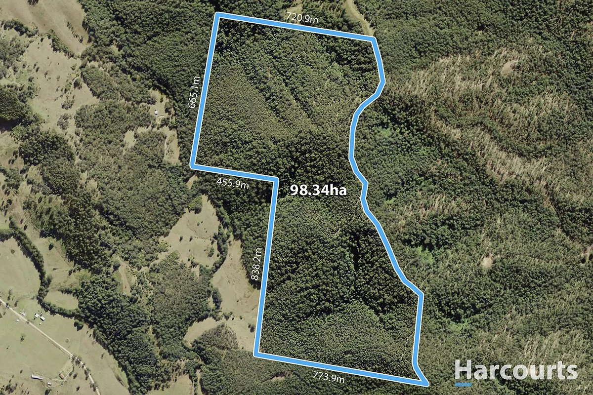 177 Upper Myall Road, Warranulla NSW 2423 photo 4