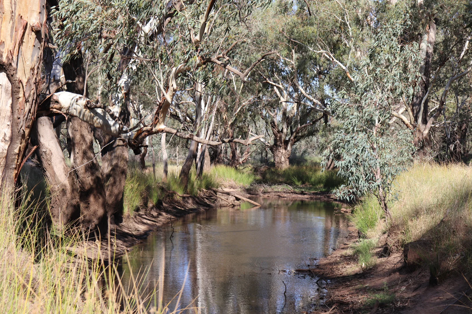 Additional image 37 of 655 Boorr Hill Road, Parkes NSW 2870