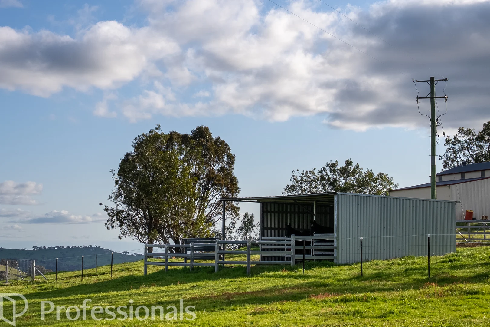 Additional image 31 of 361 Dicksons Lane, Orange NSW 2800