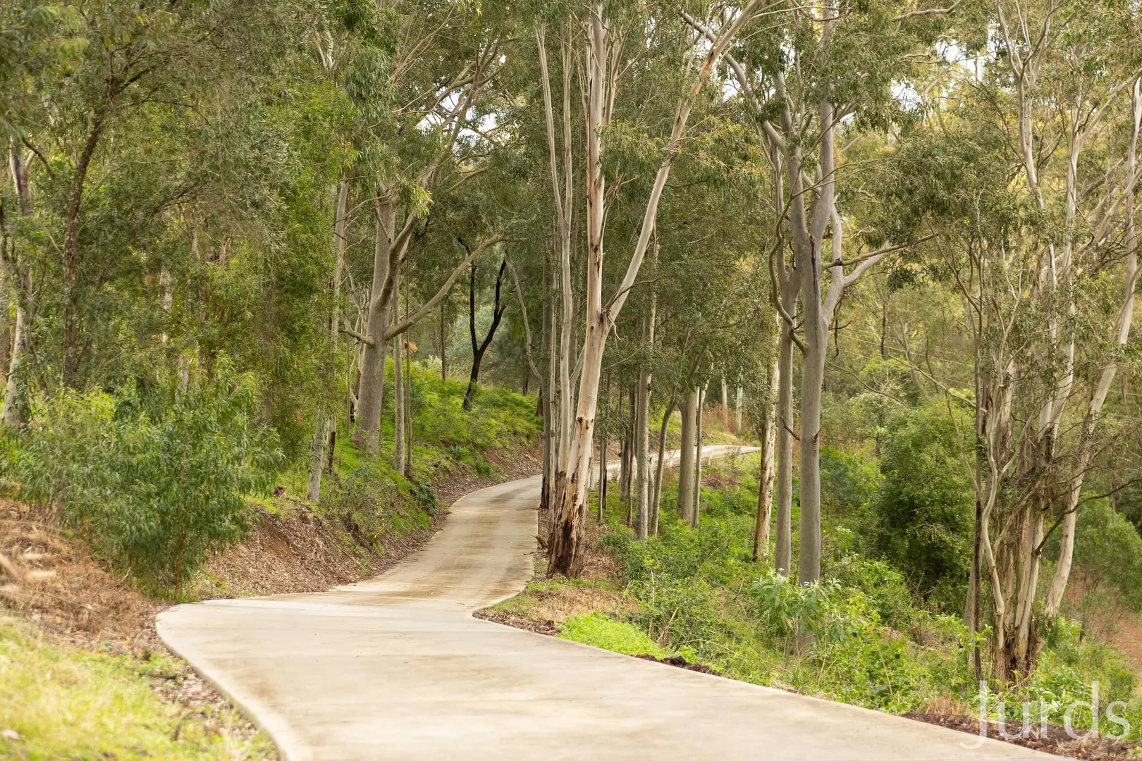 Additional image 39 of 131 Rodney Road, Mount Vincent NSW 2323