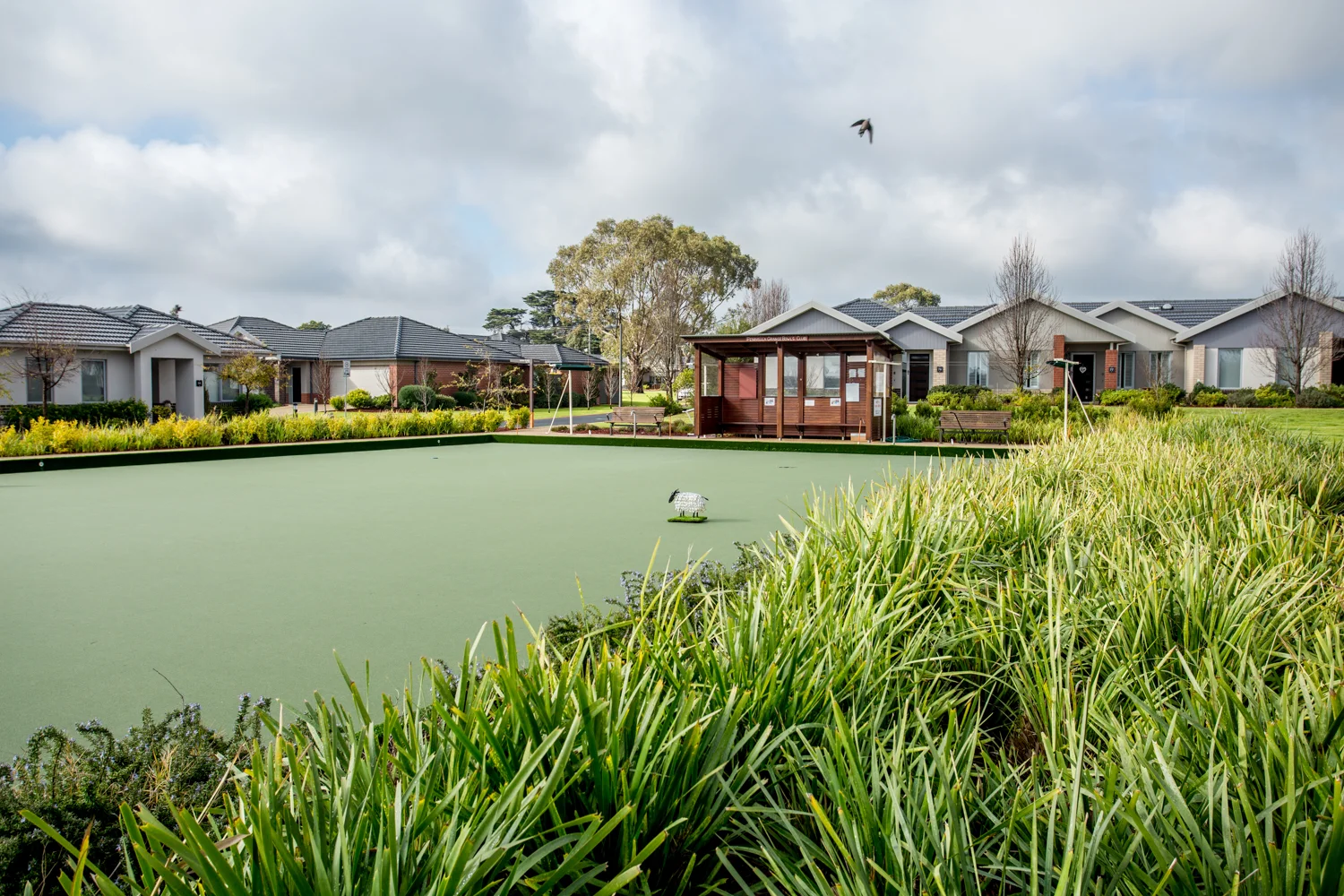 Additional image 13 of 246/431 Racecourse Road, Mornington VIC 3931