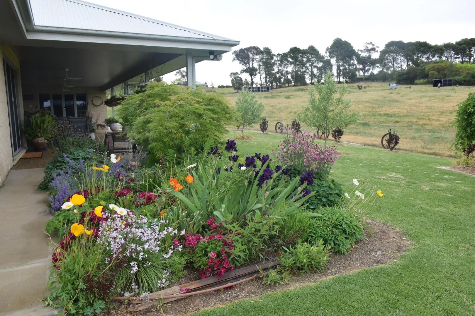 Additional image 30 of 14 Goldview Close, Young NSW 2594