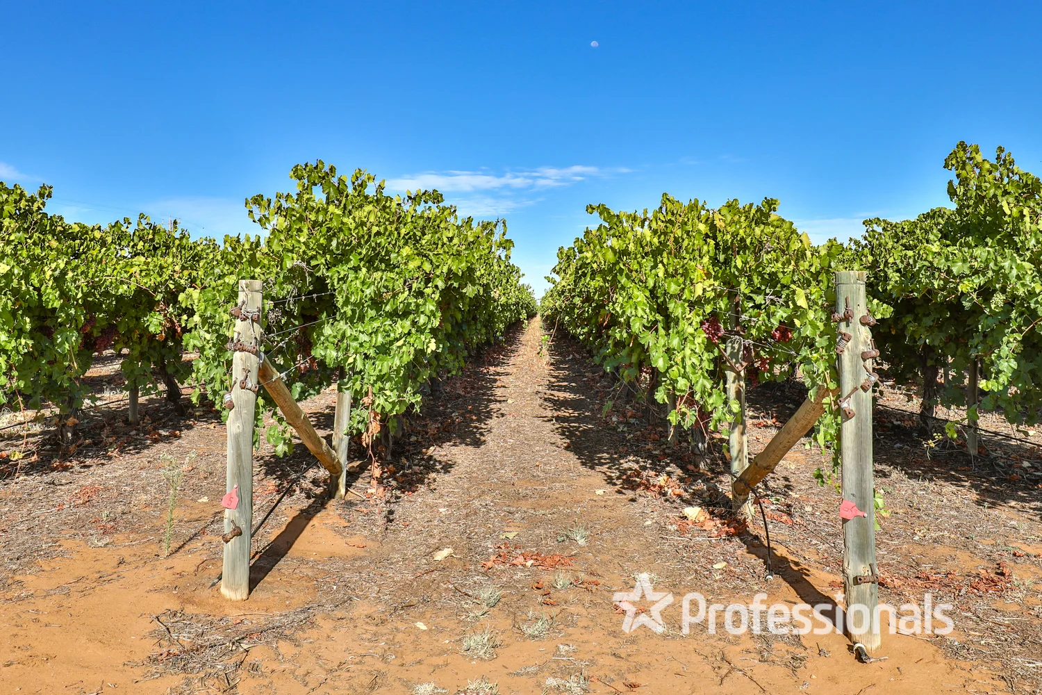 Additional image 19 of 248 Sunnycliffs Crescent, Sunnycliffs VIC 3496