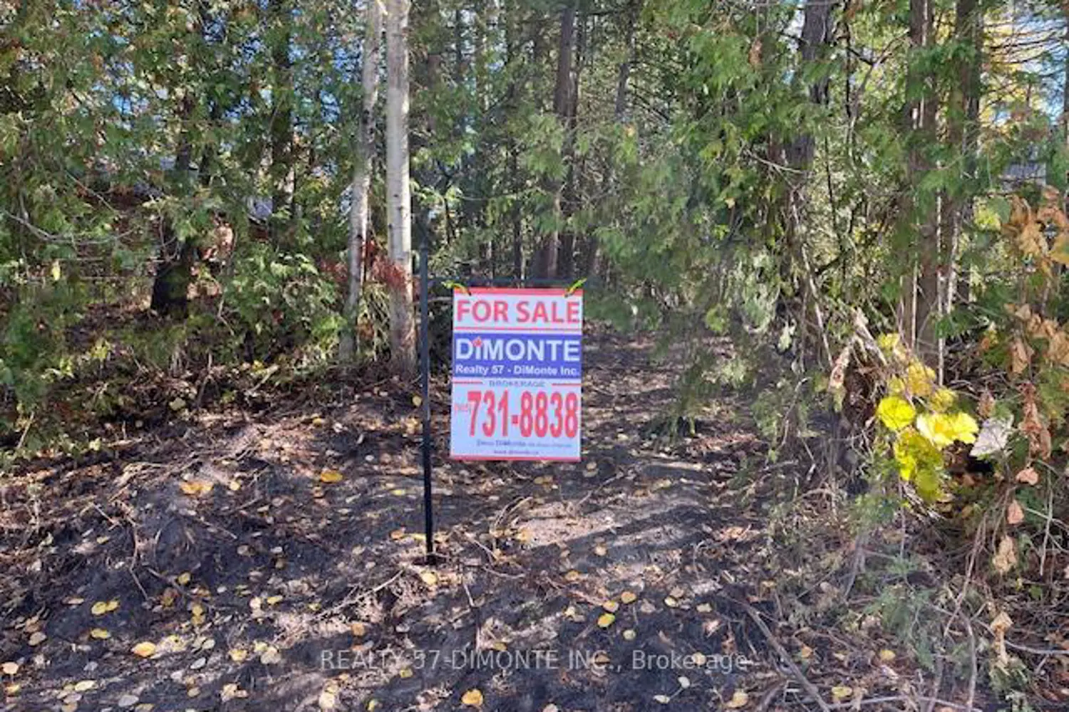 Additional image 6 of 00000 River Road