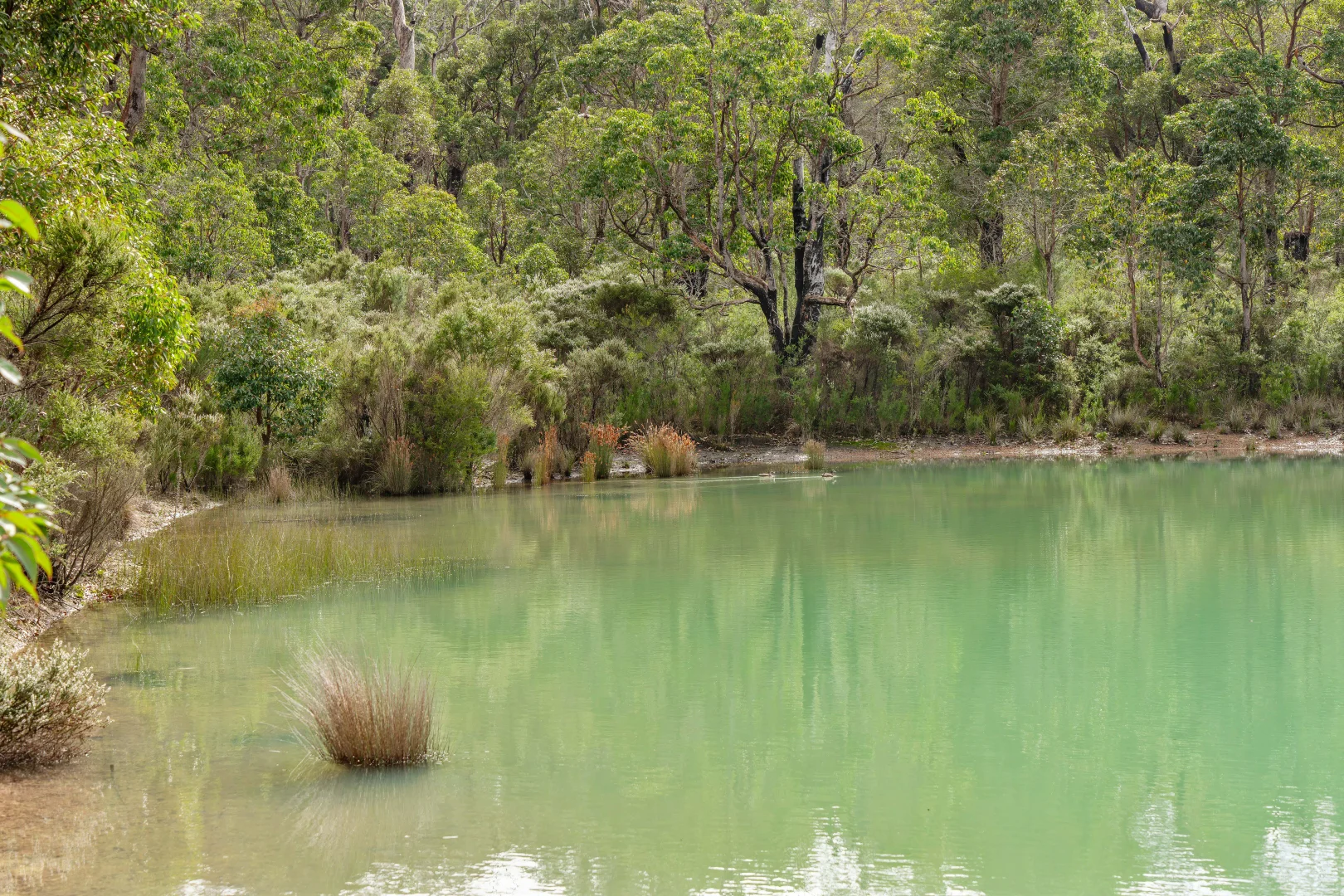 Additional image 13 of 701 Double Bridge Road, Northcliffe WA 6262