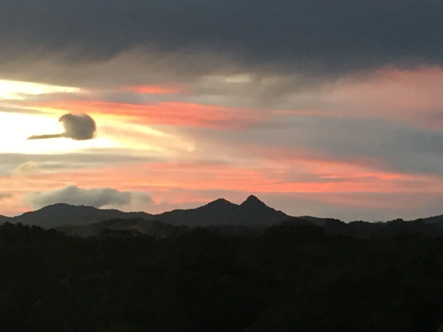 Additional image 2 of Ewingsdale NSW 2481