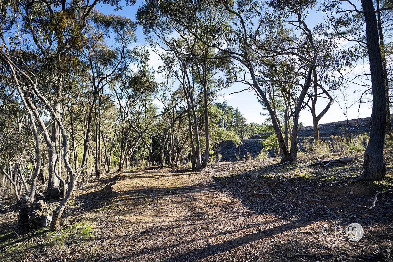 Additional image 10 of 149 Llewellyn Road, Golden Point VIC 3451