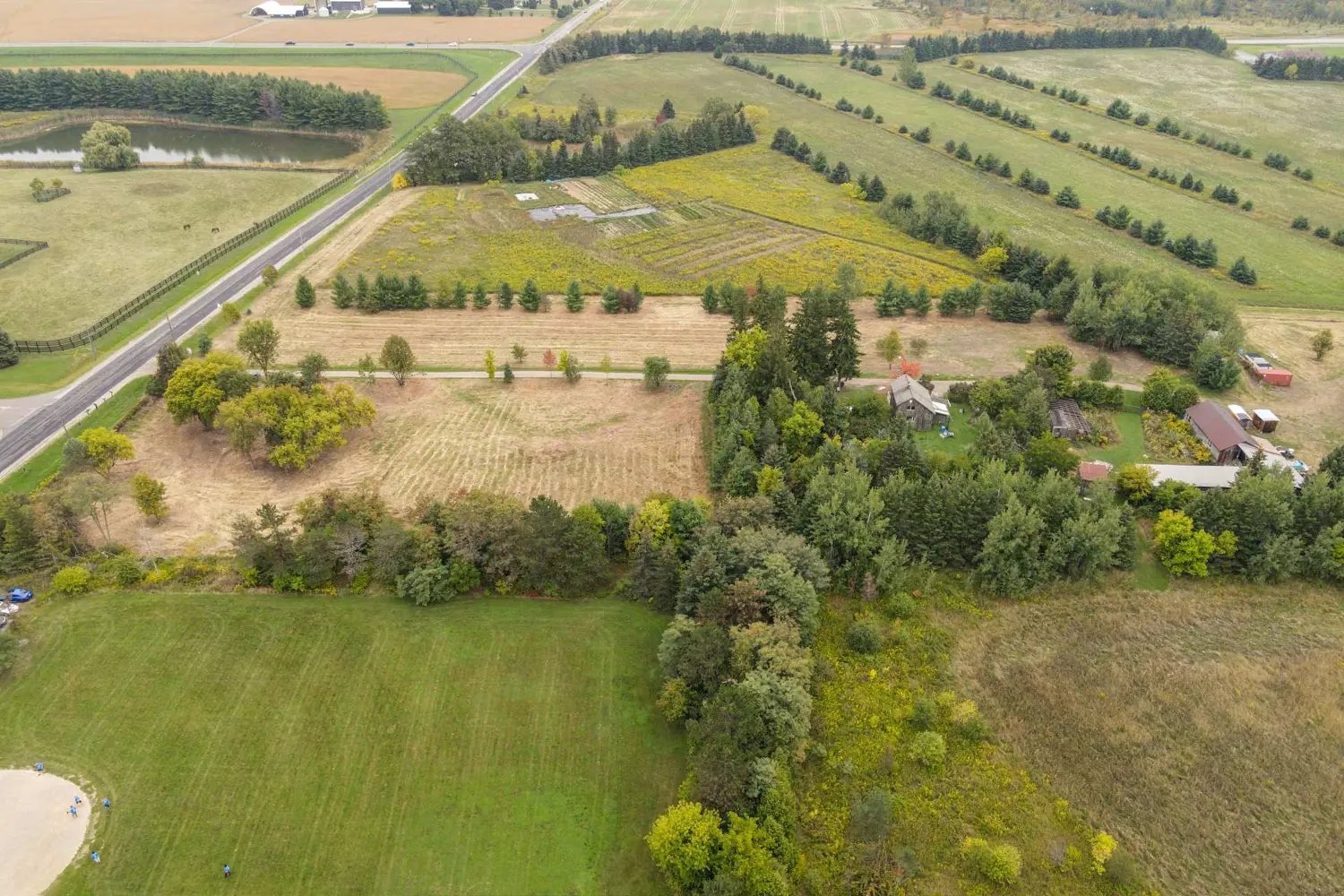 Additional image 4 of 14130 Creditview Road