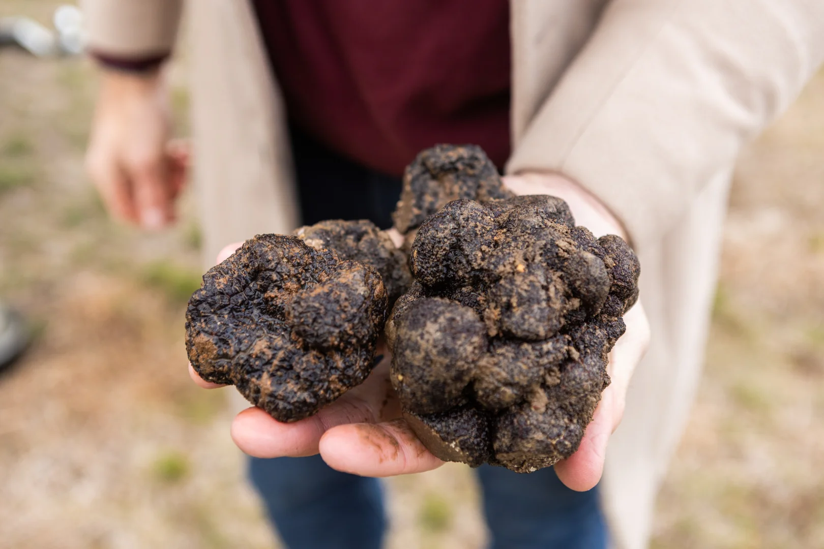 Additional image 39 of 71 Birril Close, Springrange NSW 2618