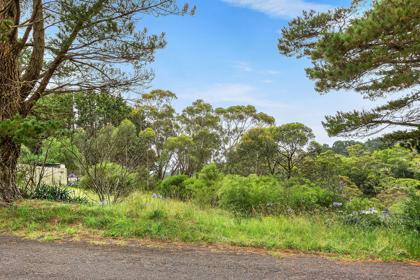 Additional image 4 of 4 William Avenue, Wentworth Falls NSW 2782