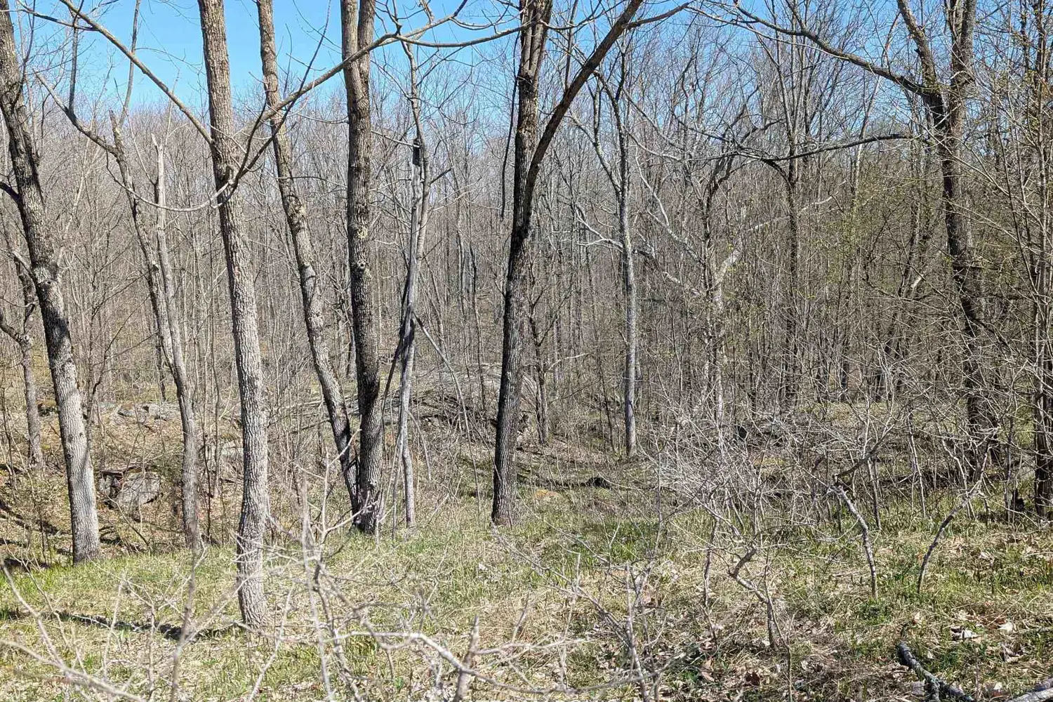 Additional image 3 of 0 Little Crosby Lake Road