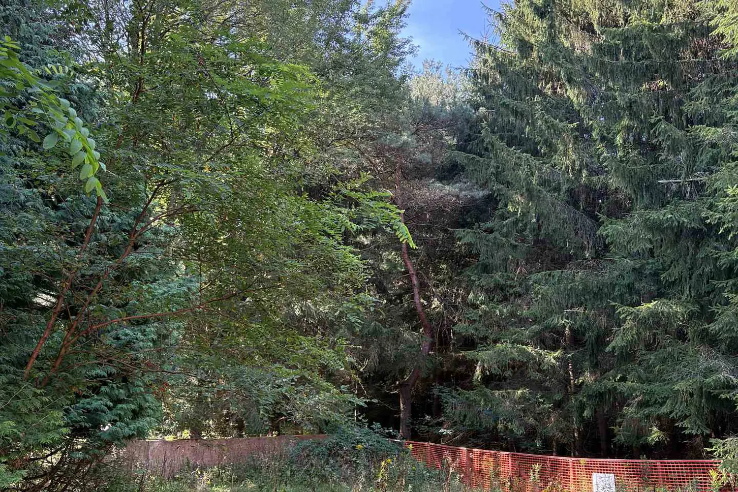 Additional image 5 of 4035 Aurora Road