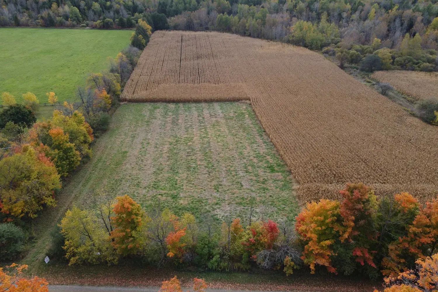 Additional image 4 of 5258 Third Line