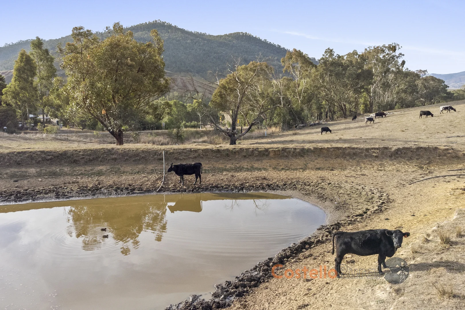 Additional image 3 of 8243 Murray River Rd, Walwa VIC 3709