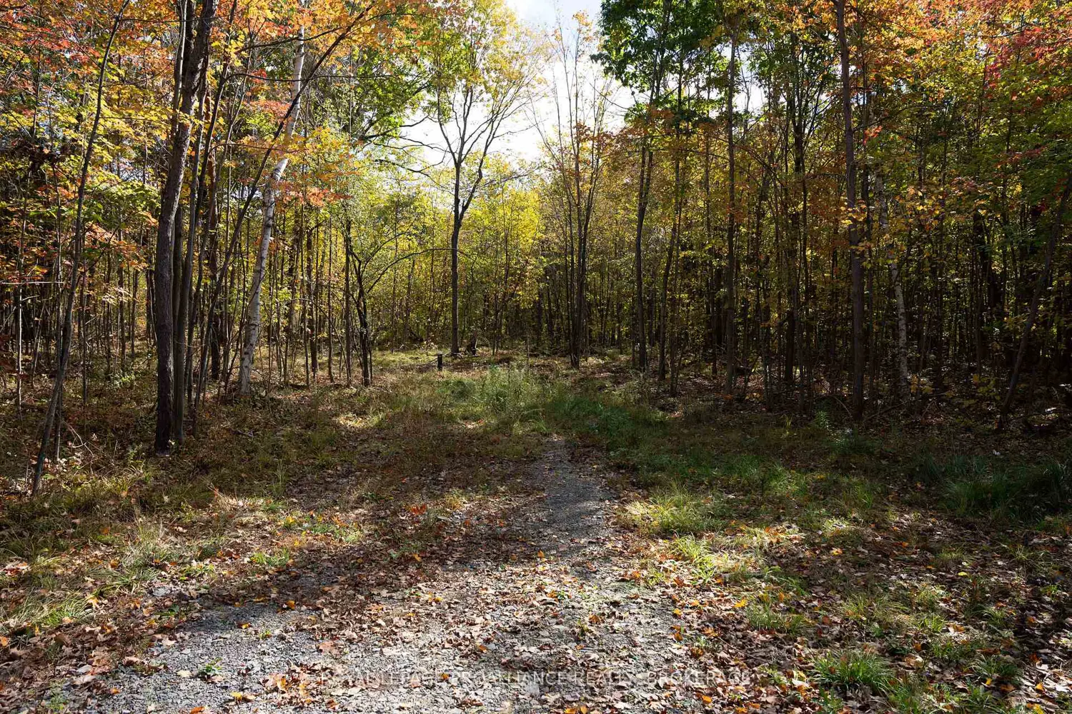 Additional image 8 of Pt Lts 12 & 13 Devil Lake Road