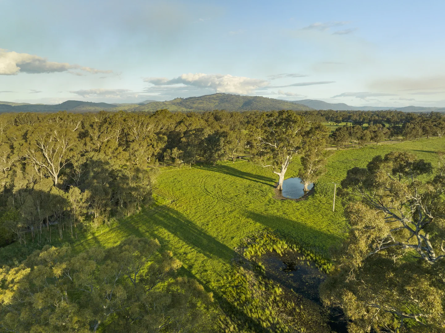 Additional image 12 of 111 Moglonemby Road, Euroa VIC 3666