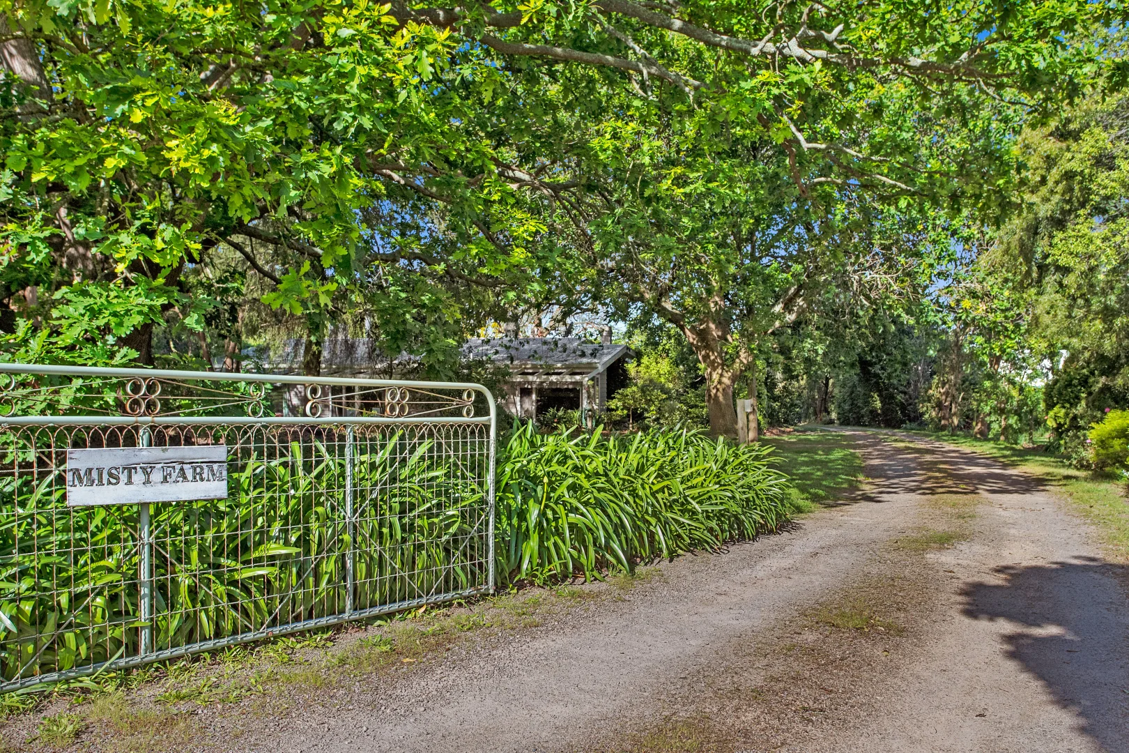 Additional image 11 of 169 Coolart Road, Hastings VIC 3915