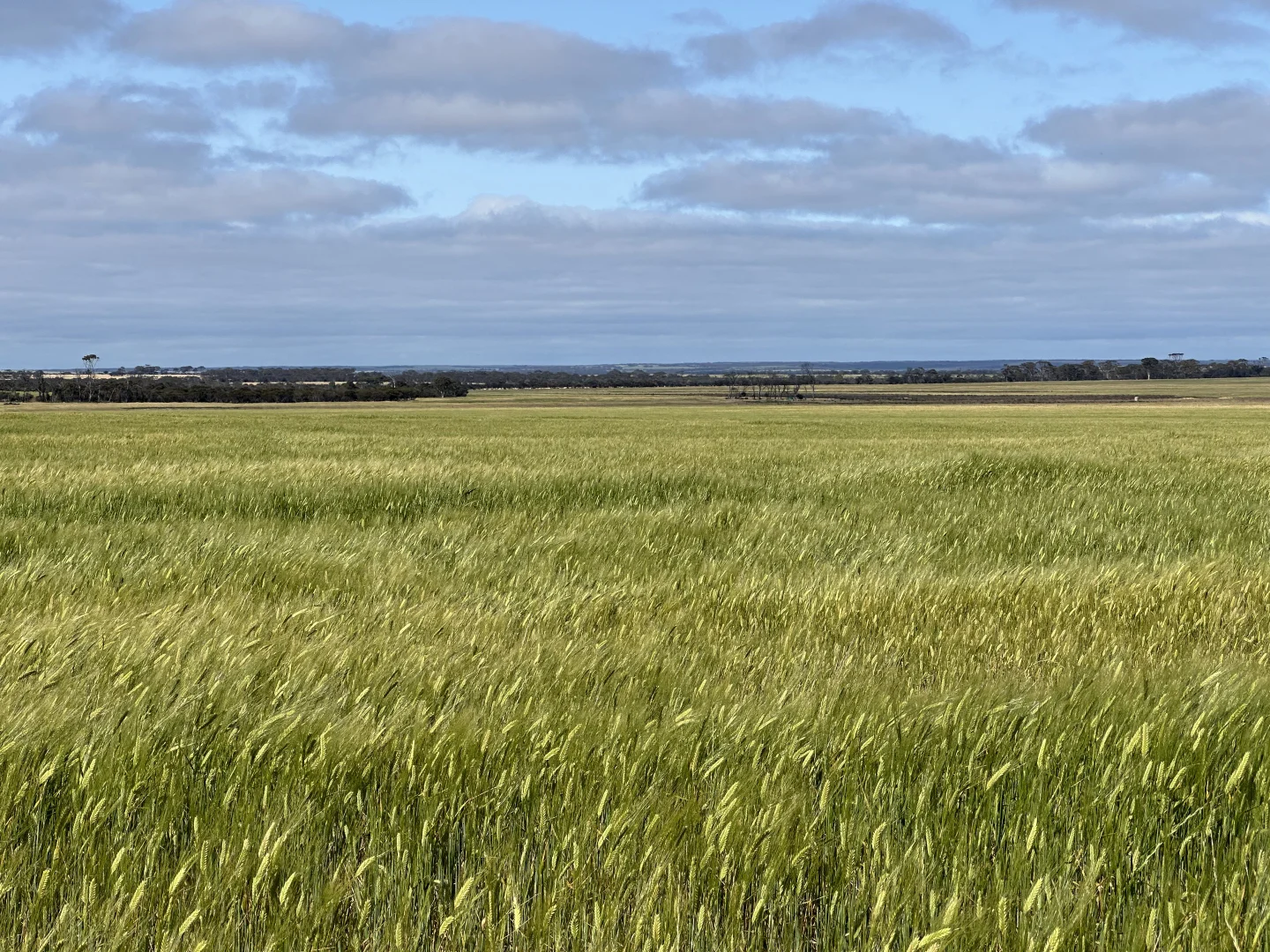 Additional image 14 of 2501 Hyden Norseman Road, Hyden WA 6359