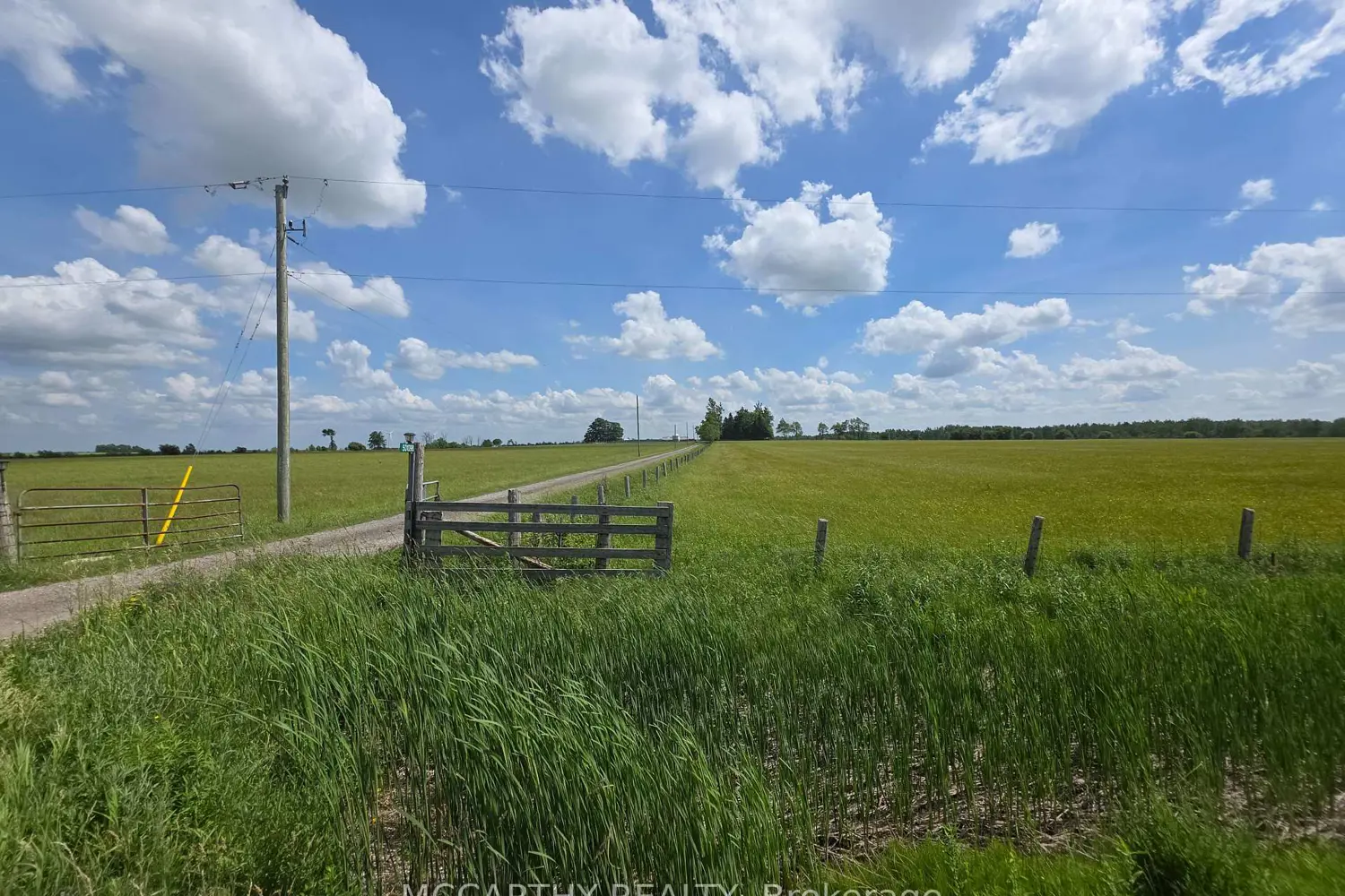 Additional image 10 of 501098 Hwy 89