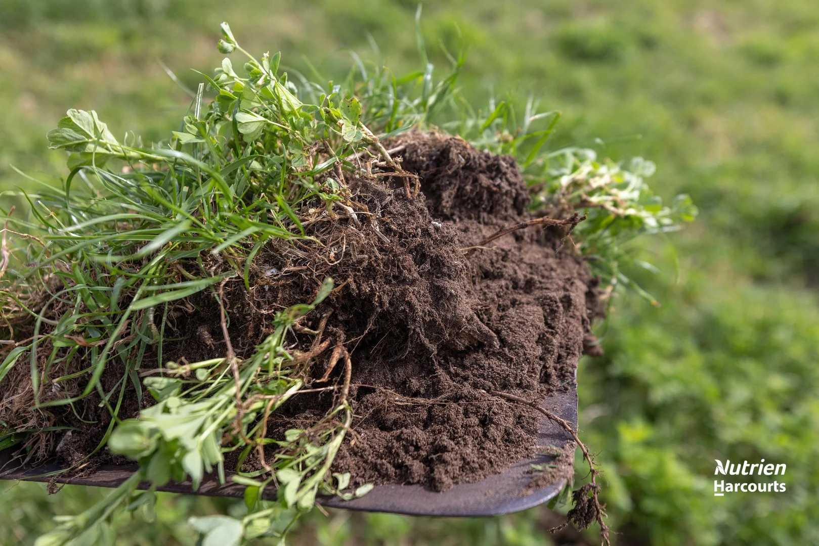 Additional image 8 of 18462 Princes Highway, Kingston Se SA 5275