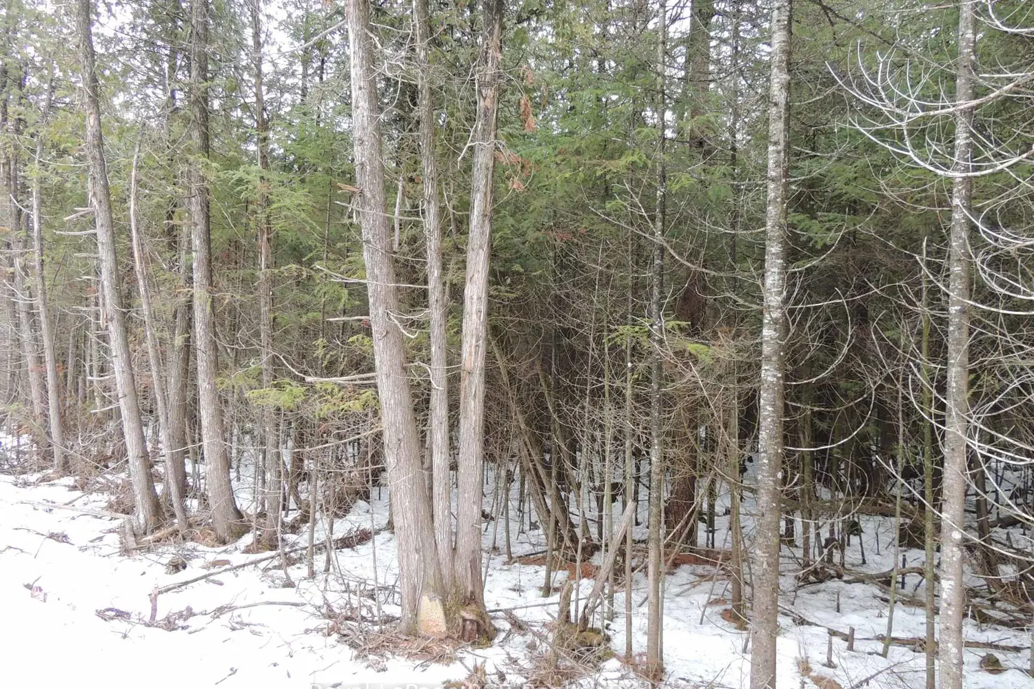 Additional image 5 of Ptlt 20 Southgate 57 Side Road