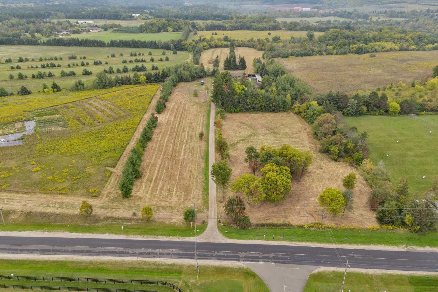 Additional image 5 of 14130 Creditview Road