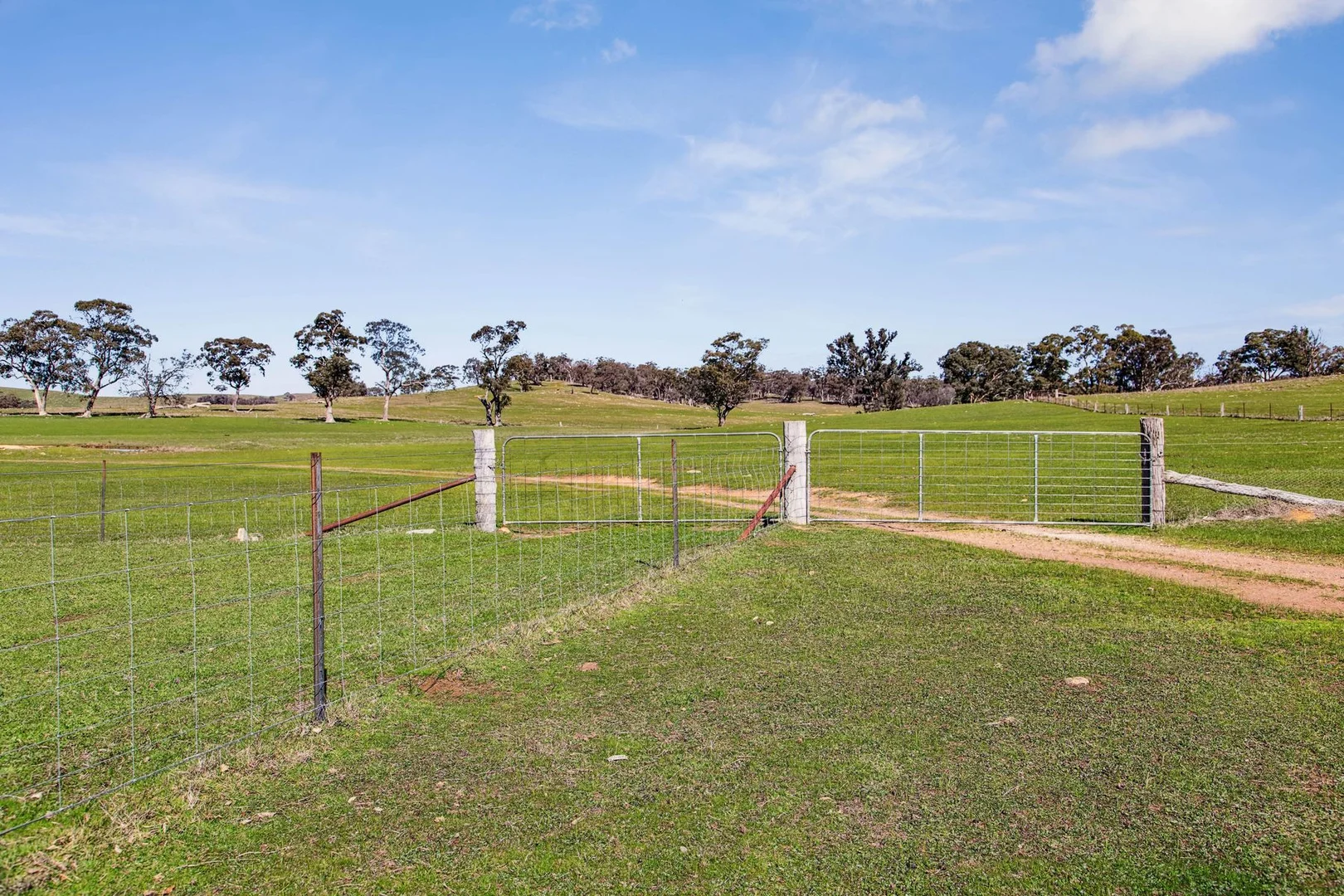 Additional image 14 of "Cairn Hill" Cnr Patons & Doles Road, Kimbolton VIC 3551