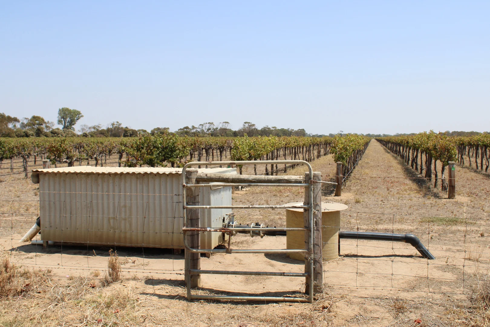 Additional image 8 of 359 Chapel Road, Lake Plains SA 5255