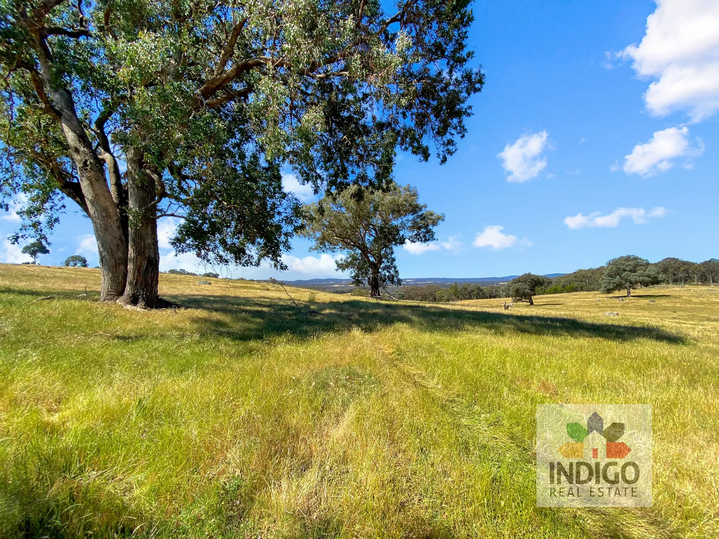 Additional image 4 of 181 Mcfeeters Road, Beechworth VIC 3747