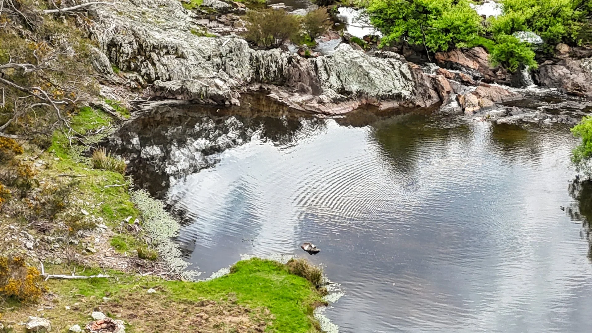 Additional image 23 of 148 Ferndale Road, Coolumbooka NSW 2632