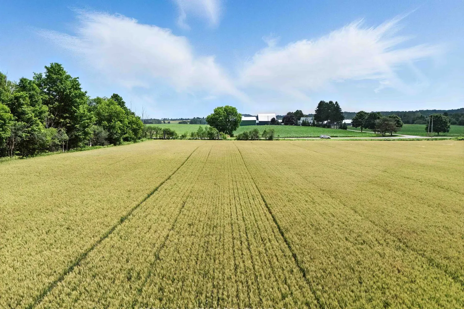 Additional image 16 of 0 Scugog Line 4