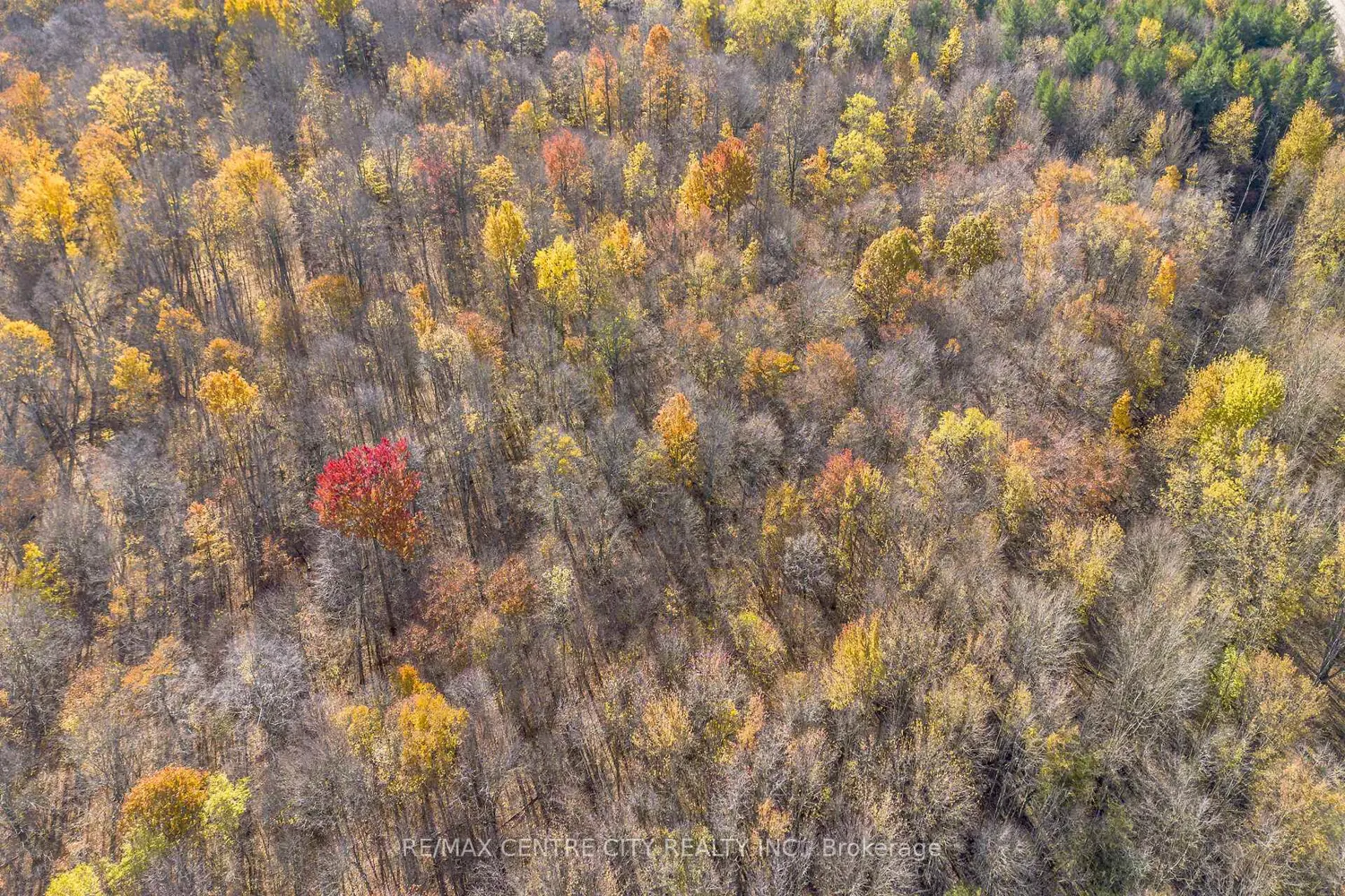 Additional image 18 of Pt Lt 140&141 Col Talbot Road