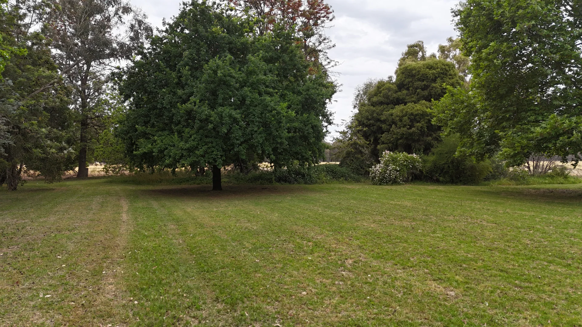 Additional image 17 of 69 Ercildoune Lane South, Forbes NSW 2871