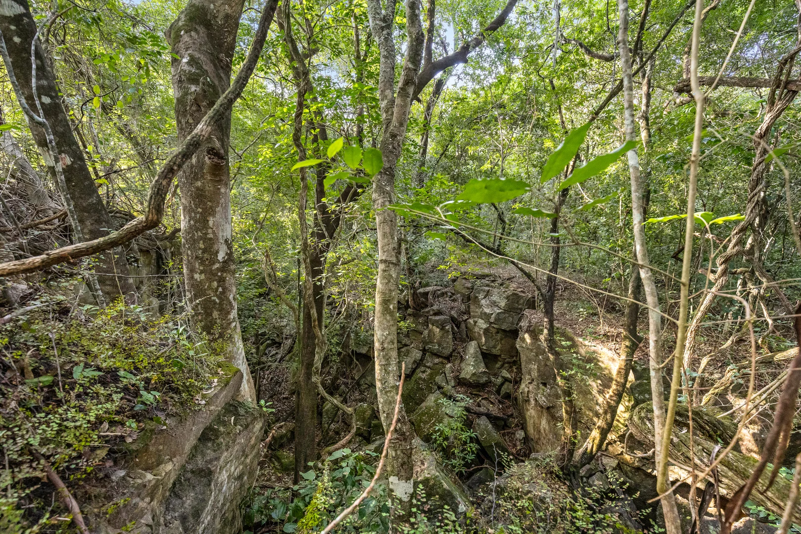 Additional image 14 of 98 Parishs Road, Dungog NSW 2420