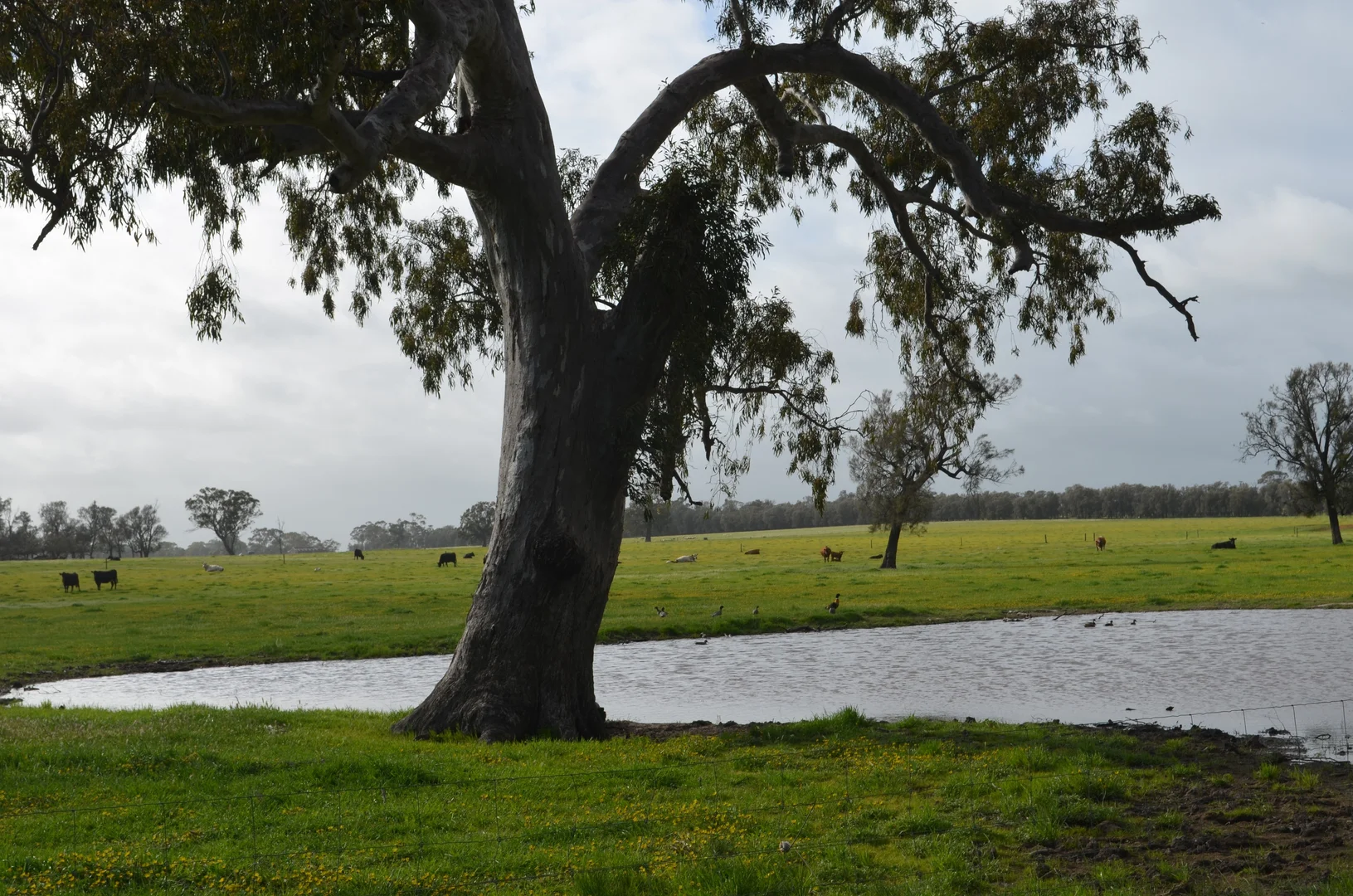 Additional image 13 of 1898 Patyah Road, Edenhope VIC 3318