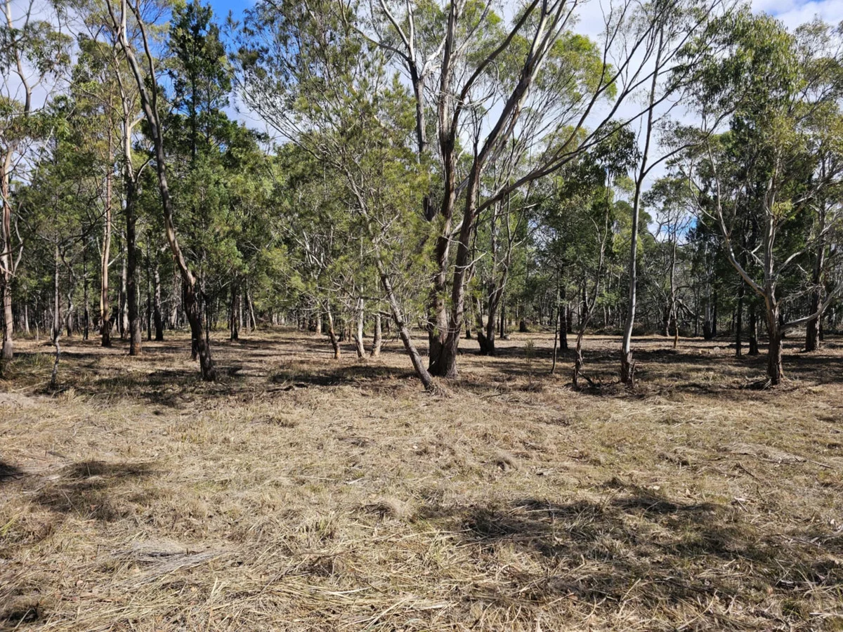 Additional image 5 of 1 Elizabeth Street, Pontypool TAS 7190