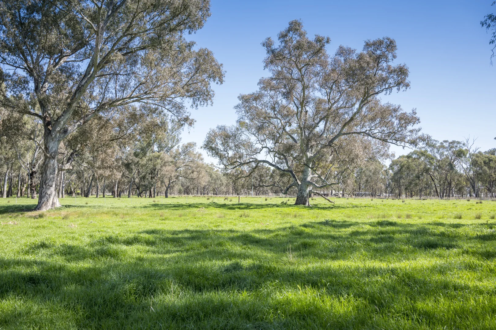 Additional image 11 of CA32 Baddaginnie-Benalla Road, Benalla VIC 3672