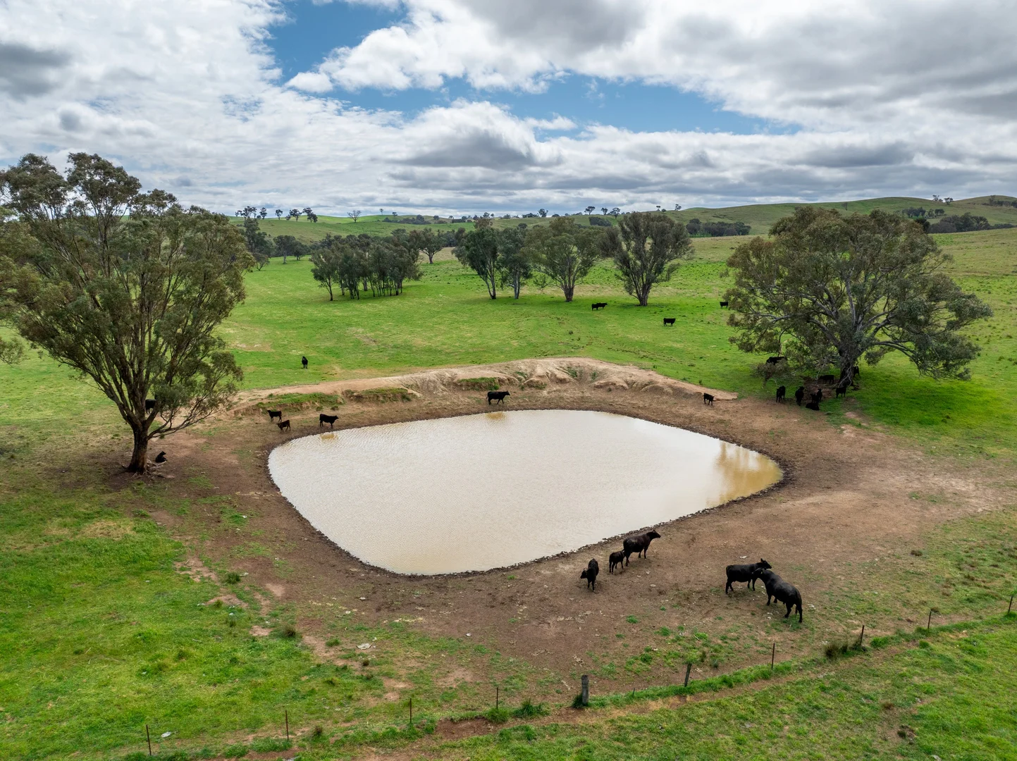 Additional image 23 of 'Cronga Peak' 157 Cronga Peak Road, Molong NSW 2866