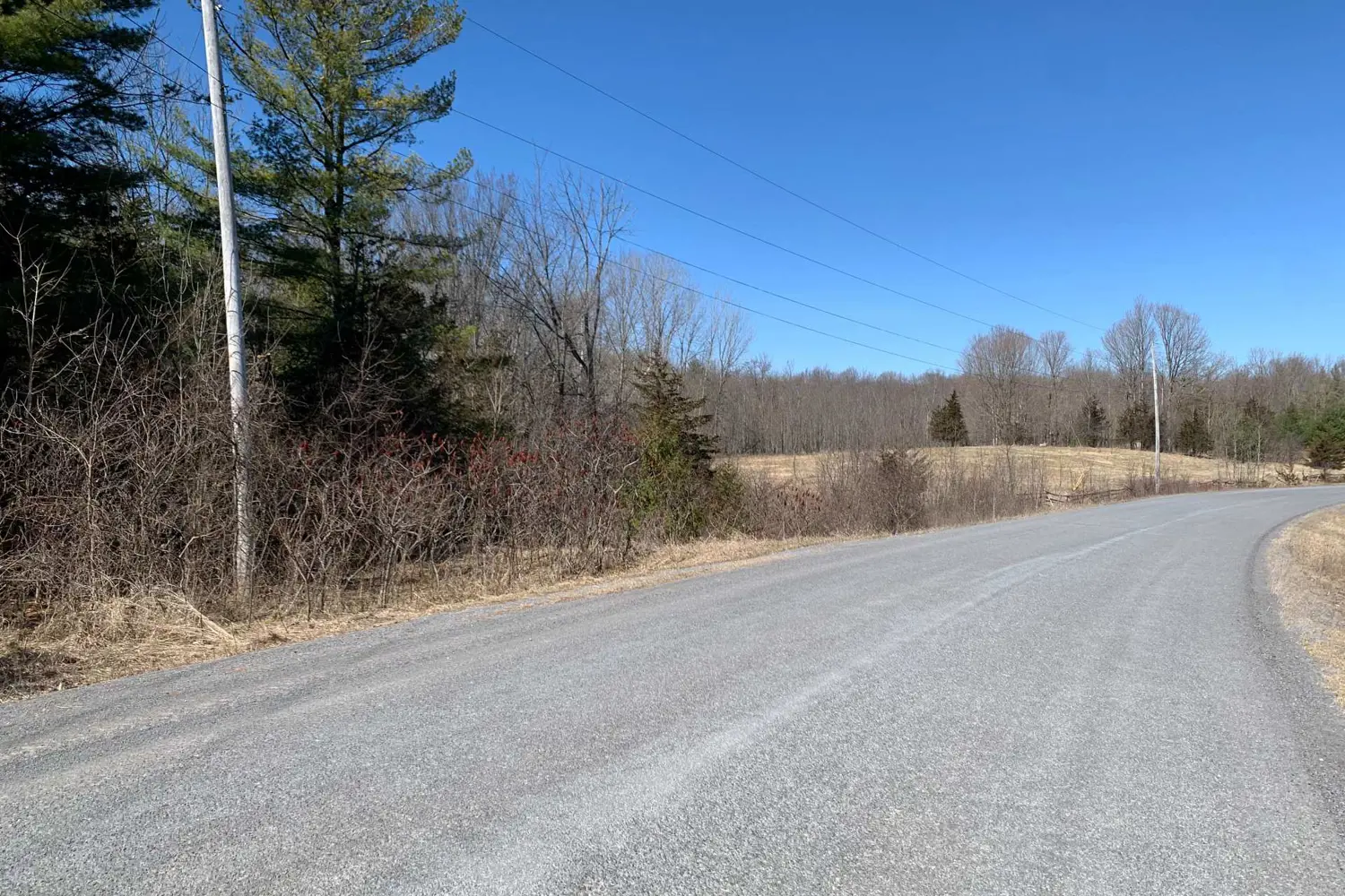 Additional image 6 of 00 Con11 Pine Grove Road