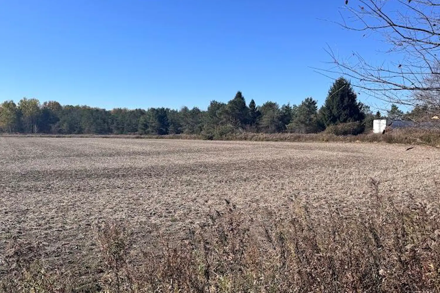 Additional image 11 of 211 Queen Street