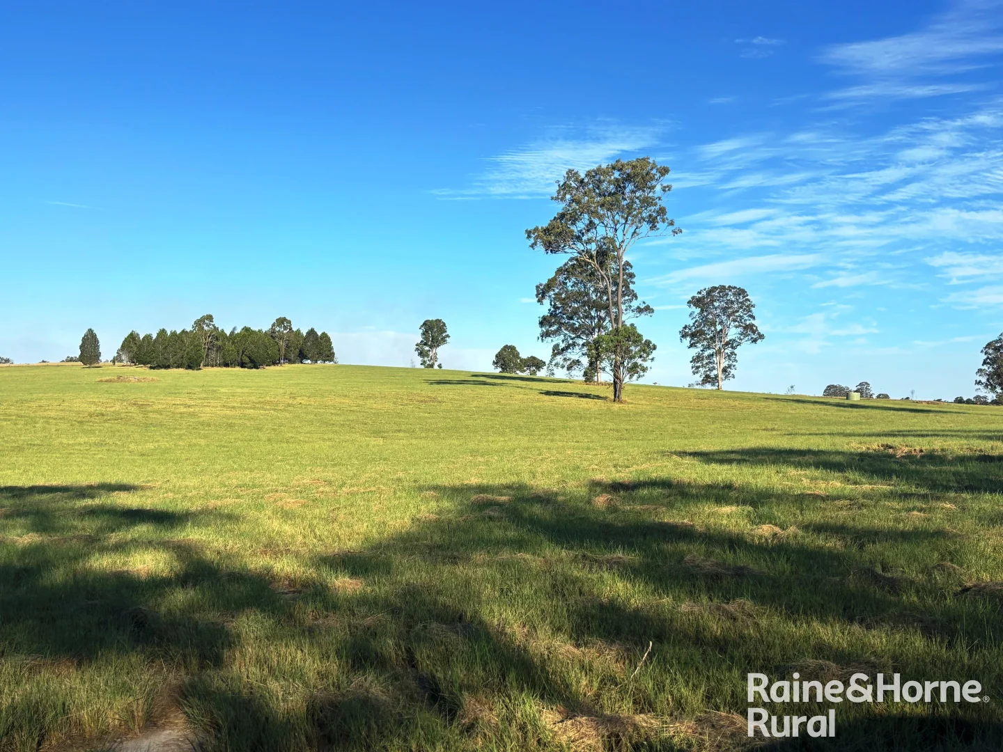 Additional image 22 of 72 Shailers Road, Wooroolin QLD 4608