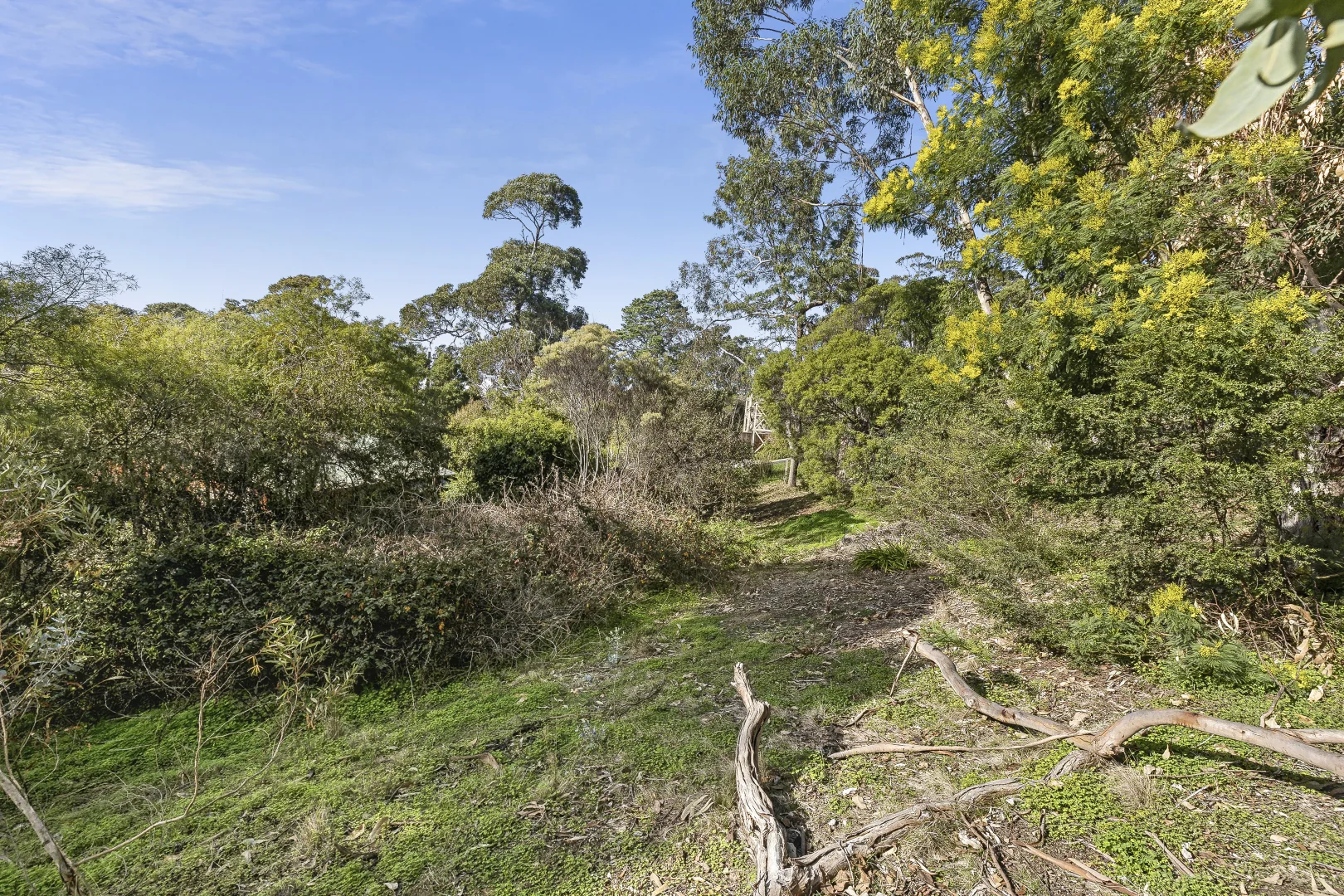 Additional image 9 of 10 Albert Street, Lorne VIC 3232