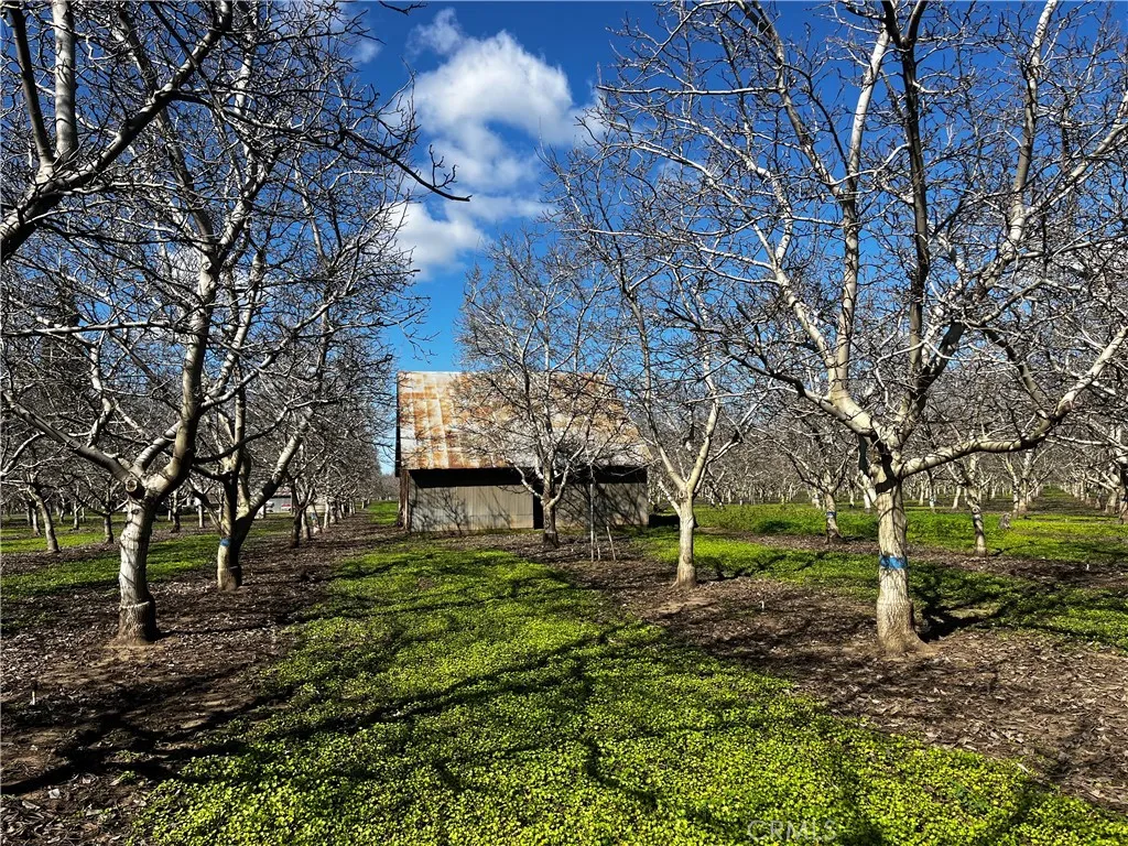 Additional image 21 of 3900 Stephens Road, Corning, CA 96021