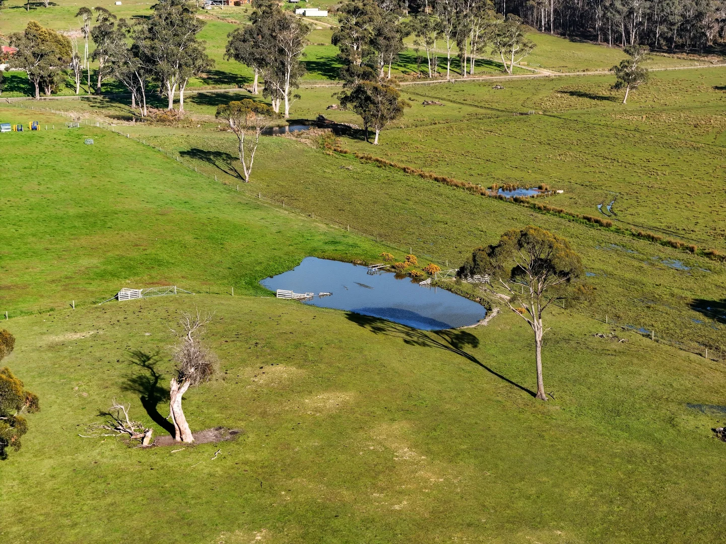 Additional image 8 of 226 Larcombes Road, Reedy Marsh TAS 7304