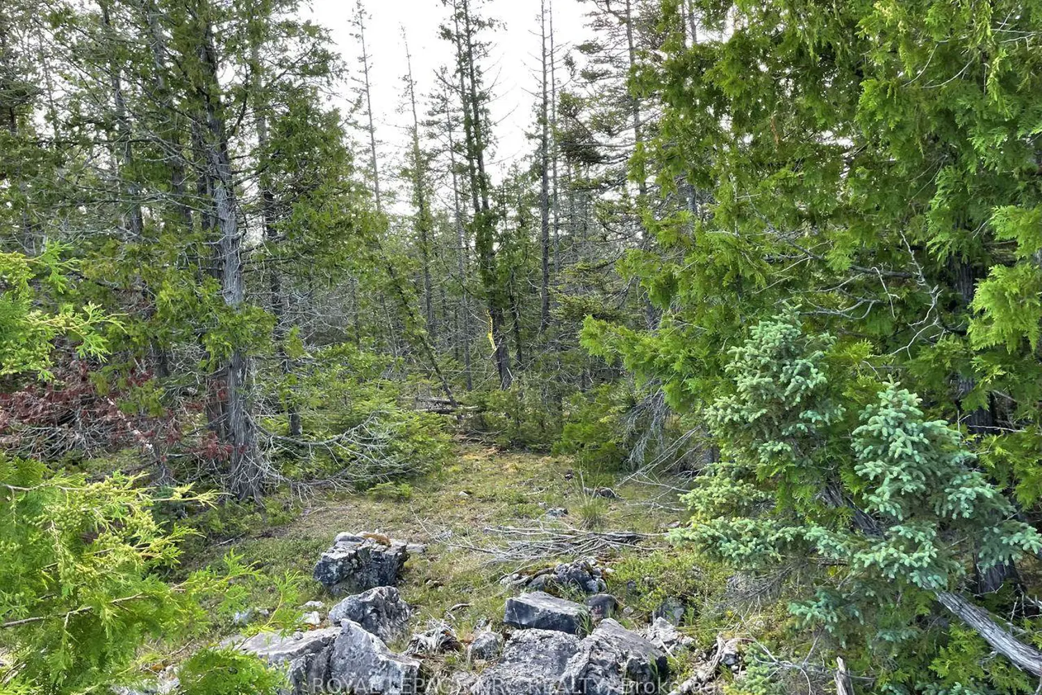 Additional image 7 of 25 Simpson Avenue